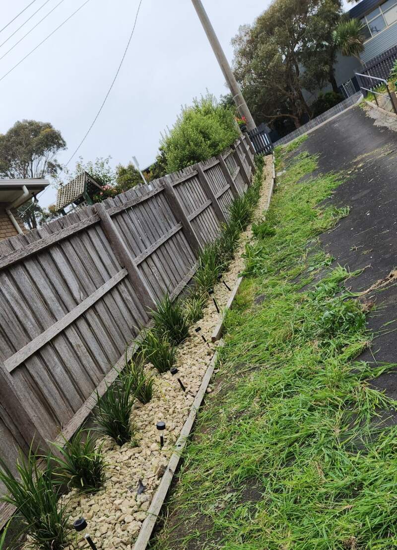 Garden bed of new plants and white pebbles along a timber fence and driveway