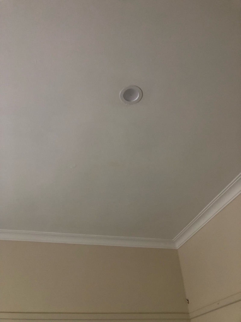 Painted ceiling with a cornice and a round light fitting